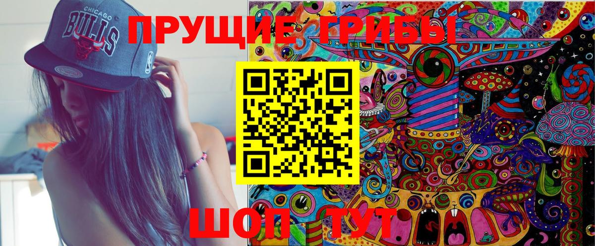 Курчатов  Галлюциногенные грибы мухоморы  Галлюциногенные грибы Psilocybine cubensis  Вход с VPN 